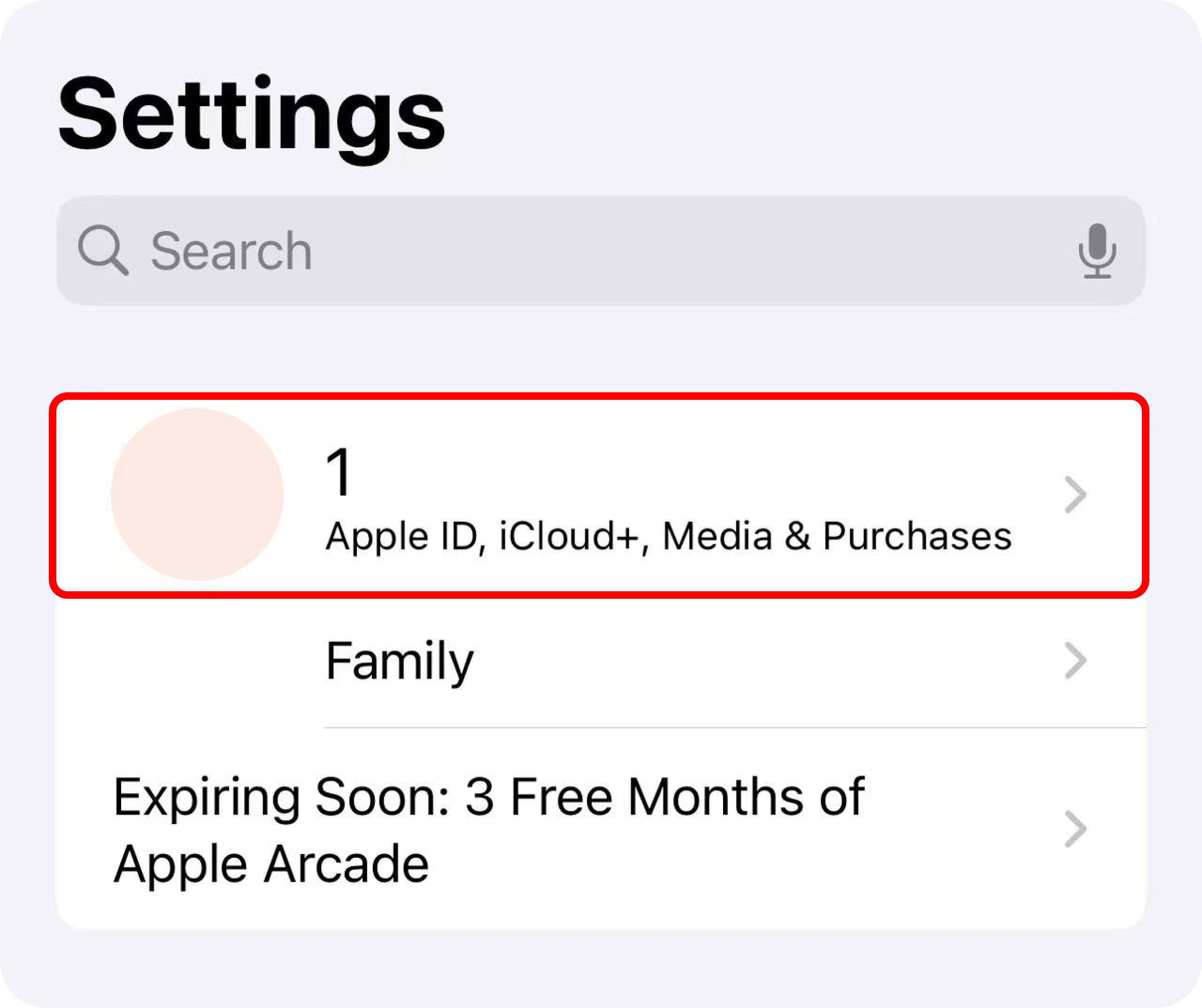 Apple Kimliği, iCloud+, Medya ve Satın Almalar için bildirim gösteren ayarlar sayfası.